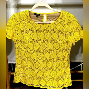 Talbots‎ Top Size 6